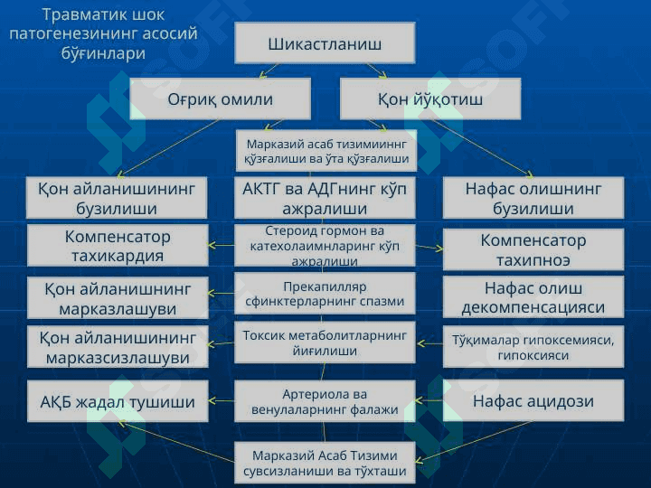 ТРАВМАТИК ШОК.УЗОҚ ЭЗИЛИШ СИНДРОМИ 3