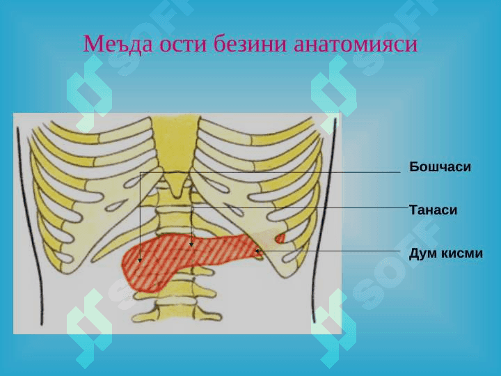 Уткир ва сурункали меъда ости бези касалликлари 3
