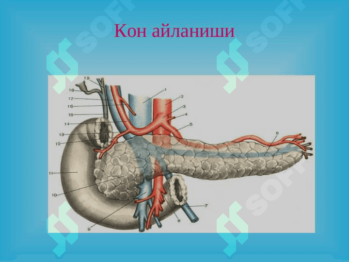 Уткир ва сурункали меъда ости бези касалликлари 4
