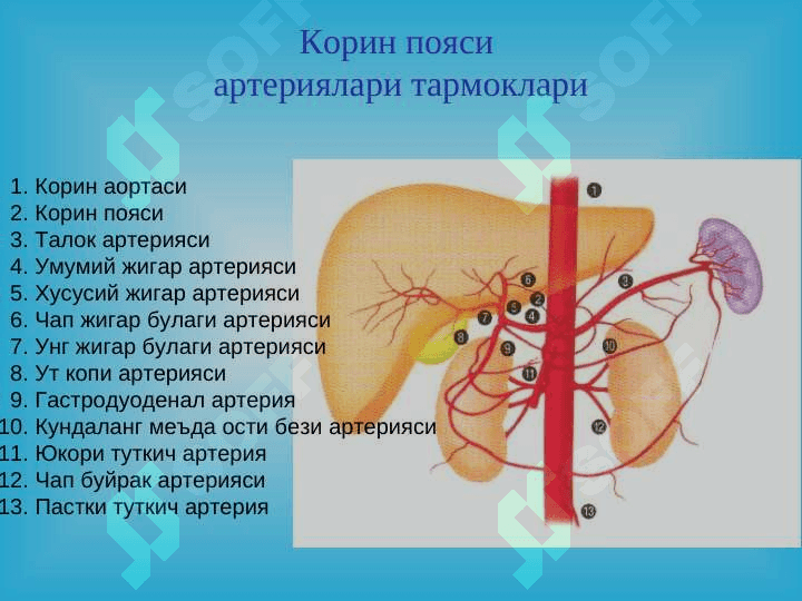 Уткир ва сурункали меъда ости бези касалликлари 5