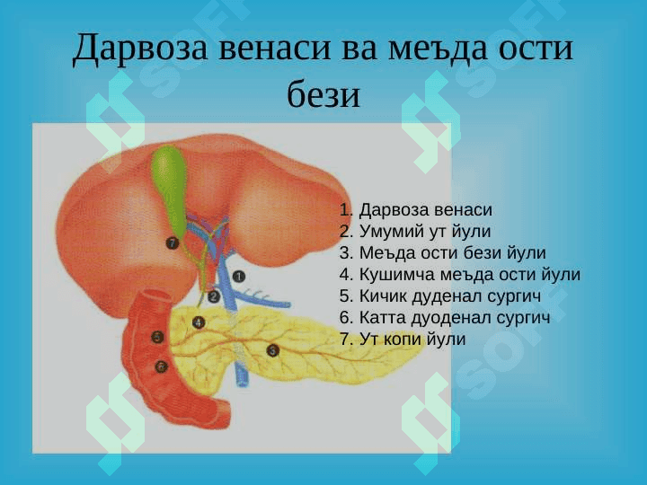 Уткир ва сурункали меъда ости бези касалликлари 7