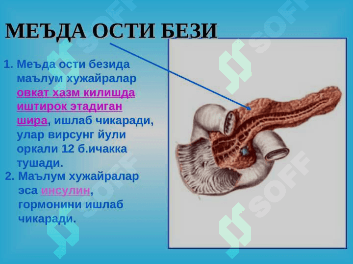 Уткир ва сурункали меъда ости бези касалликлари 8