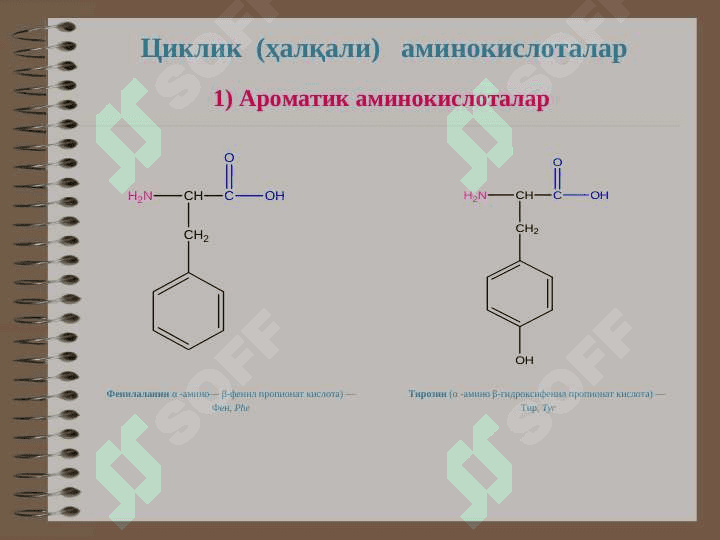 Оқсиллар 7