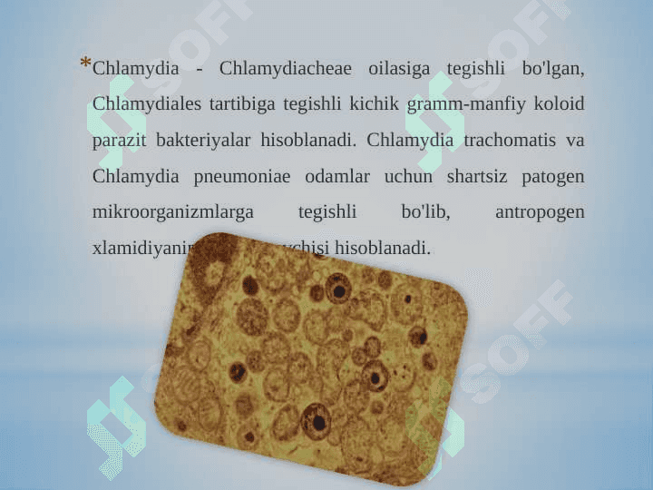 Patogen Xlamidiya tarqatuvchi kasalliklari 2
