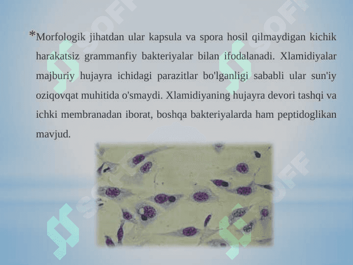 Patogen Xlamidiya tarqatuvchi kasalliklari 4