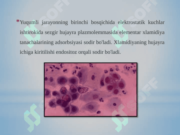 Patogen Xlamidiya tarqatuvchi kasalliklari 7
