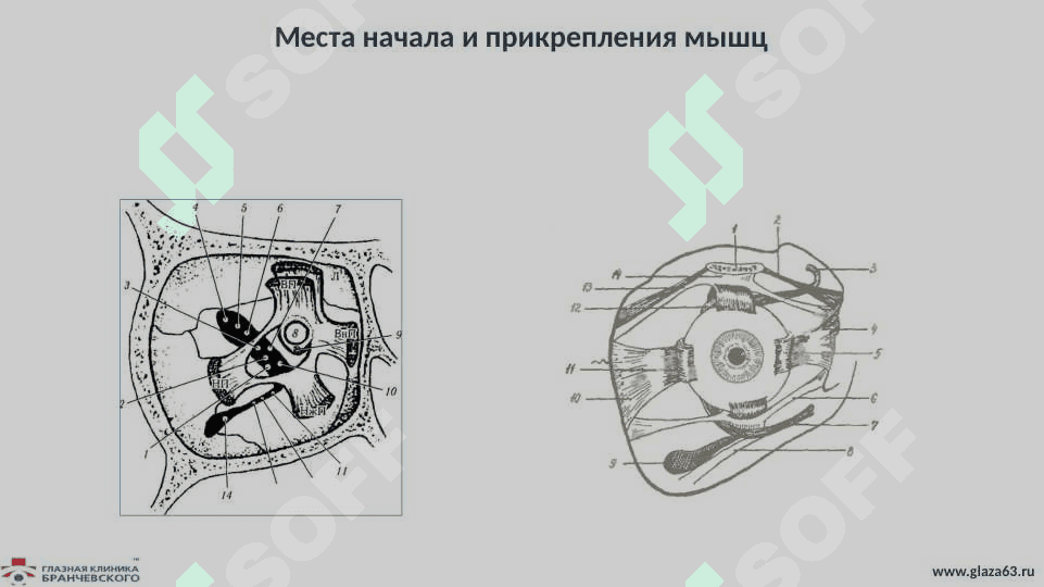 Нарушение бинокулярного зрения 4