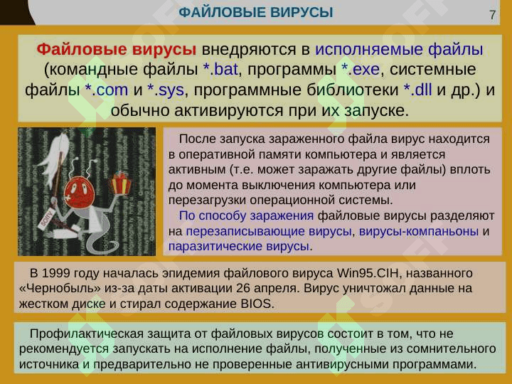 ЗАЩИТА ОТ КОМПЬЮТЕРНЫХ ВИРУСОВ 6