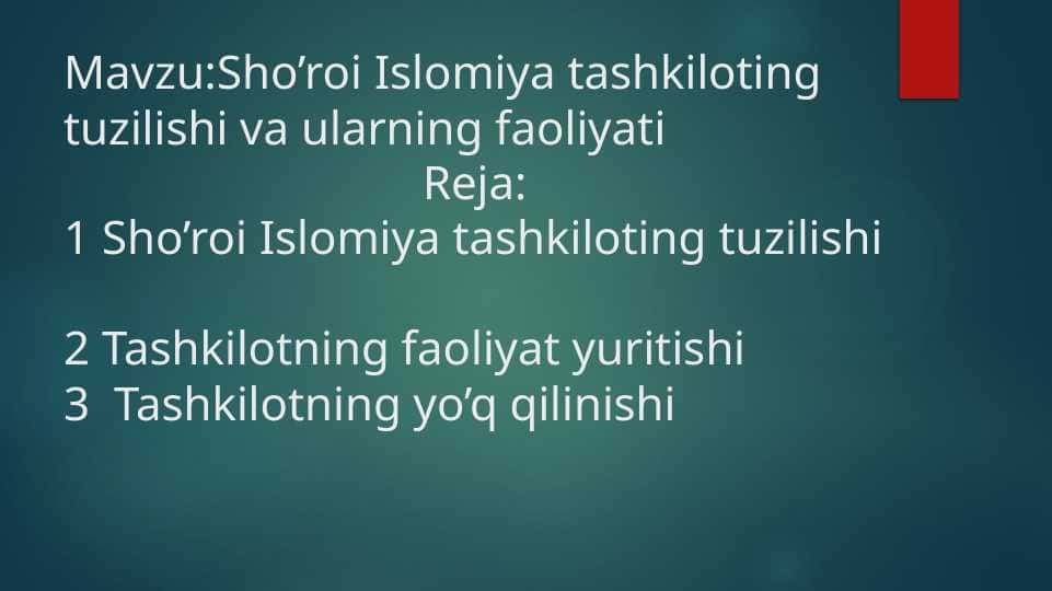 Sho’roi Islomiya tashkiloting tuzilishi va ularning faoliyati