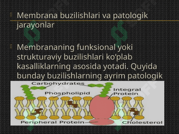 Signallarni membiranalar orqali o’tkazilishi .membiranalar buzilishlarini patologik jarayonni kelib chiqishidagi o’rniSignallarni membiranalar orqali o’tkazilishi .membiranalar buzilishlarini patologik jarayonni kelib chiqishidagi o’rni 8