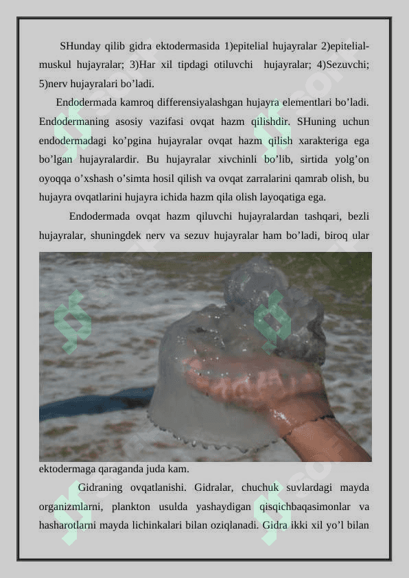 Bo’shliqichlilar tipi 6