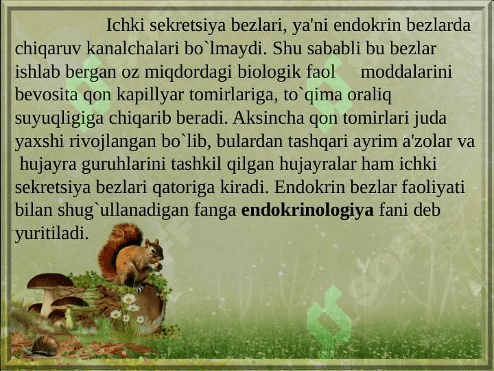 Jigar, o’t pufagi va  meda osti bezi 3
