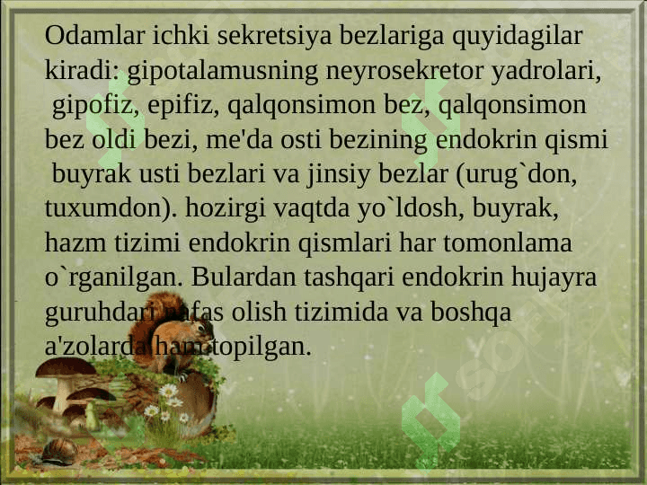 Jigar, o’t pufagi va  meda osti bezi 4
