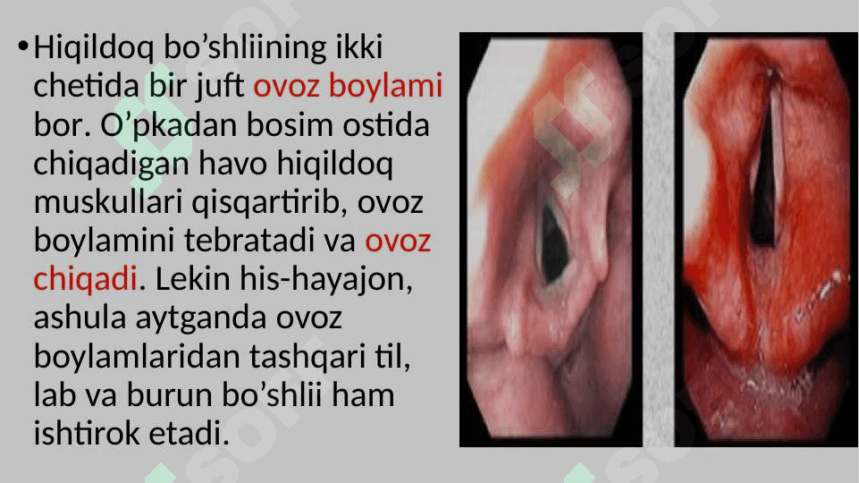 Nafas  olish  tizimi slayd 8