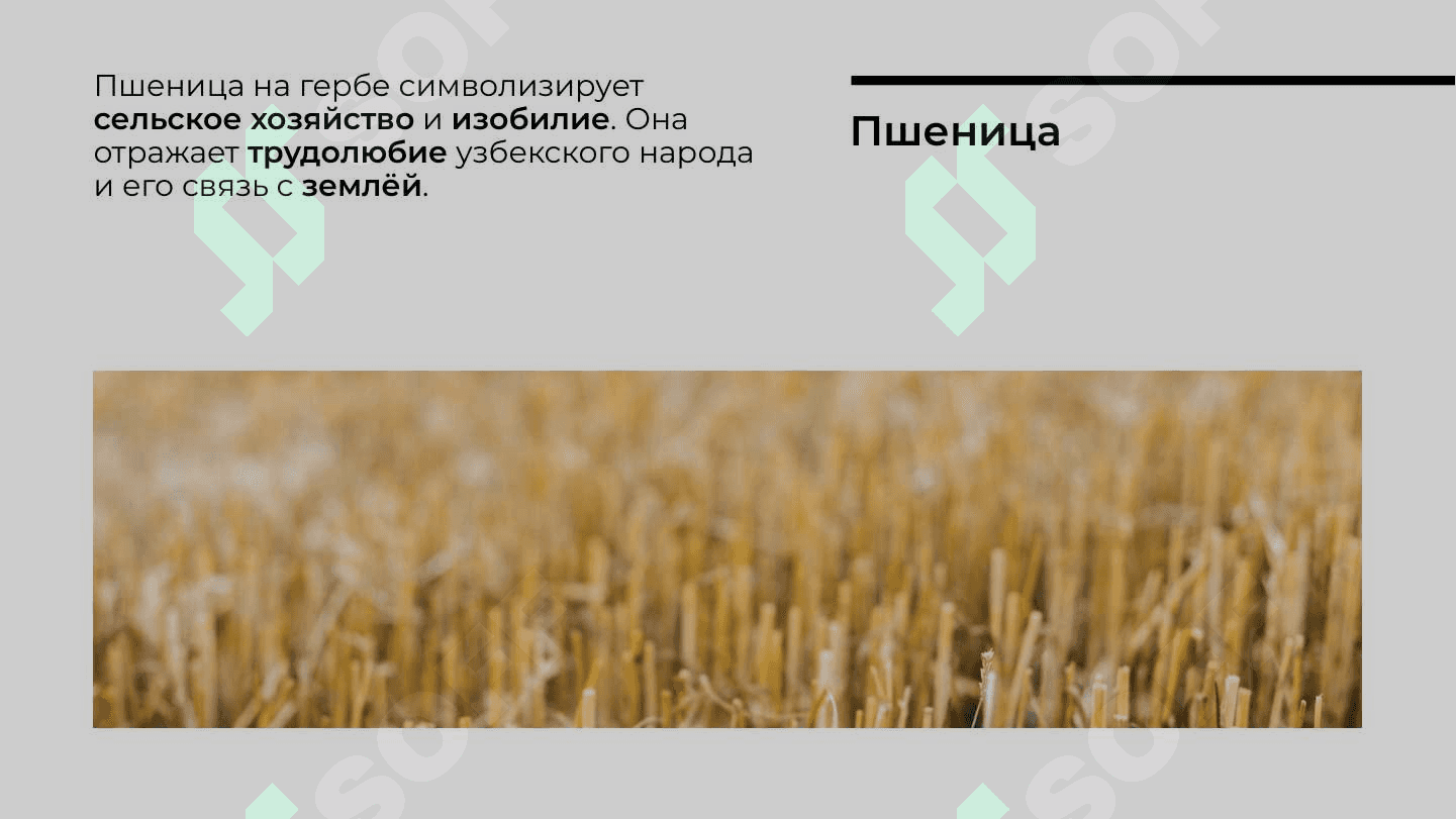 Герб Узбекистана 7