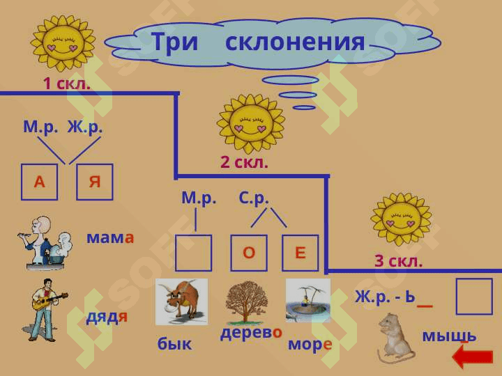 Имя существительное 8