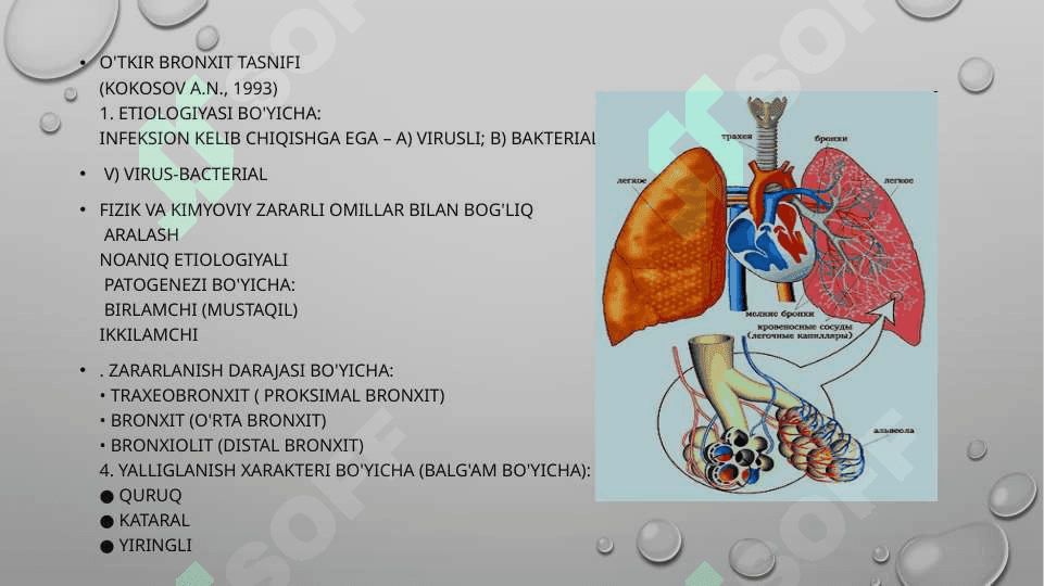 O`tkir va surunkali bronxitlar 8