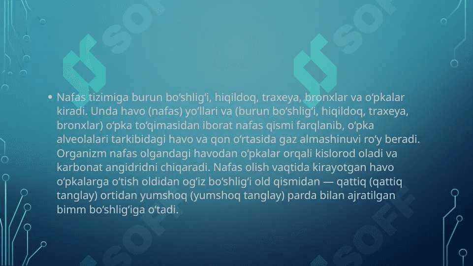 Nafas olish tizimining anatomik va fiziologik xususiyatlari.Norma va patalogiyada nafas olishNafas olish tizimining anatomik va fiziologik xususiyatlari.Norma va patalogiyada nafas olish 2