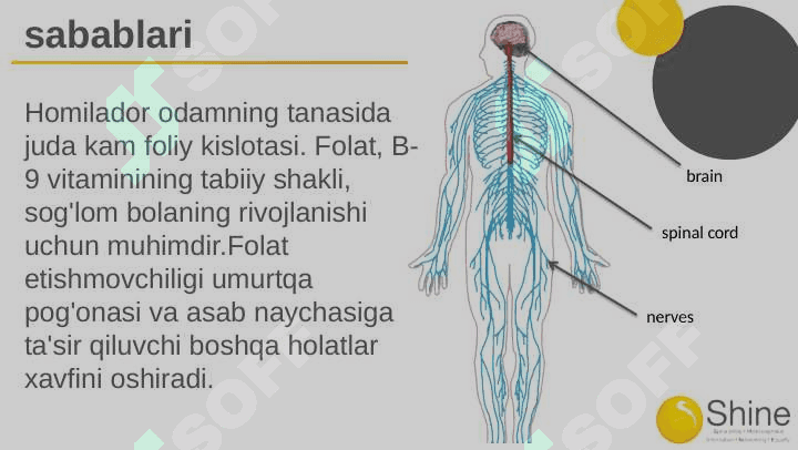Spina bifida 4