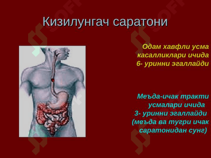 Кизилунгач саратони 5