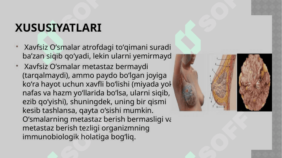 XAVFSIZ  O’SMALAR 2
