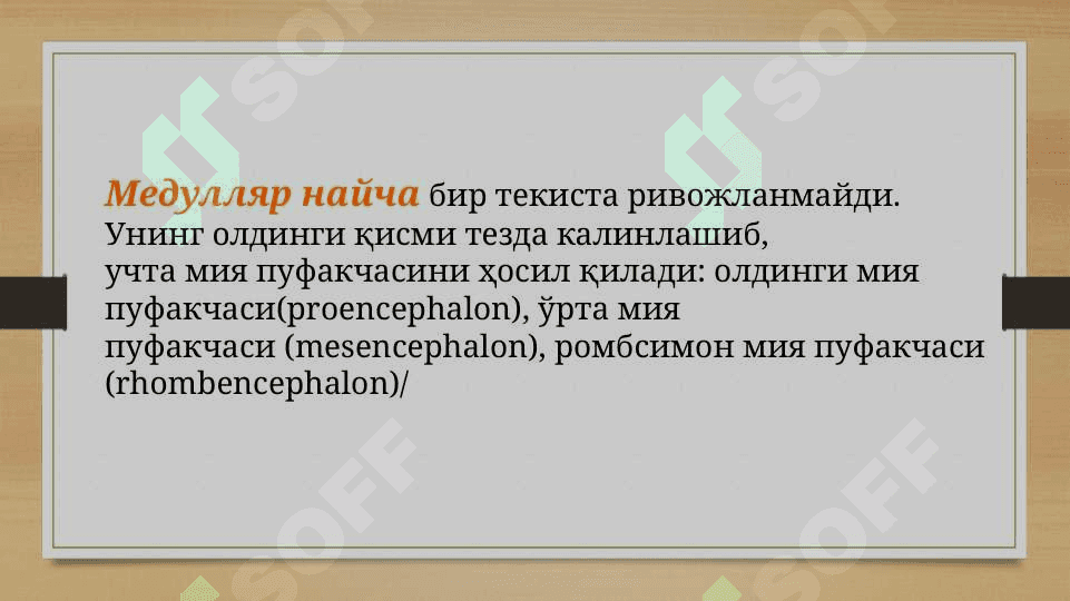 Асаб системасининг онтогенези 7