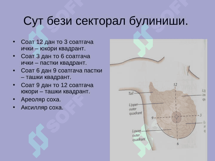 Сут бези саратони 3
