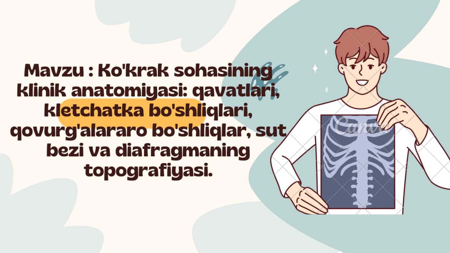 Ko'krak sohasining klinik anatomiyasi: qavatlari, kletchatka bo'shliqlari, qovurg'alararo bo'shliqlar, sut bezi va diafragmaning topografiyasi.