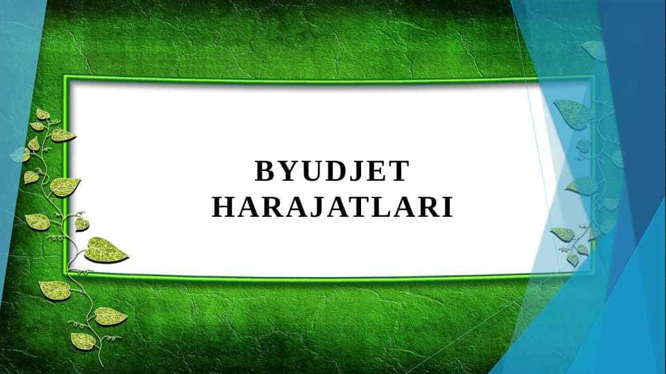 Byudjet harajatlari