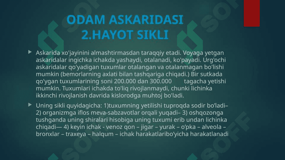 Odam askaridasi va ostritsa 4
