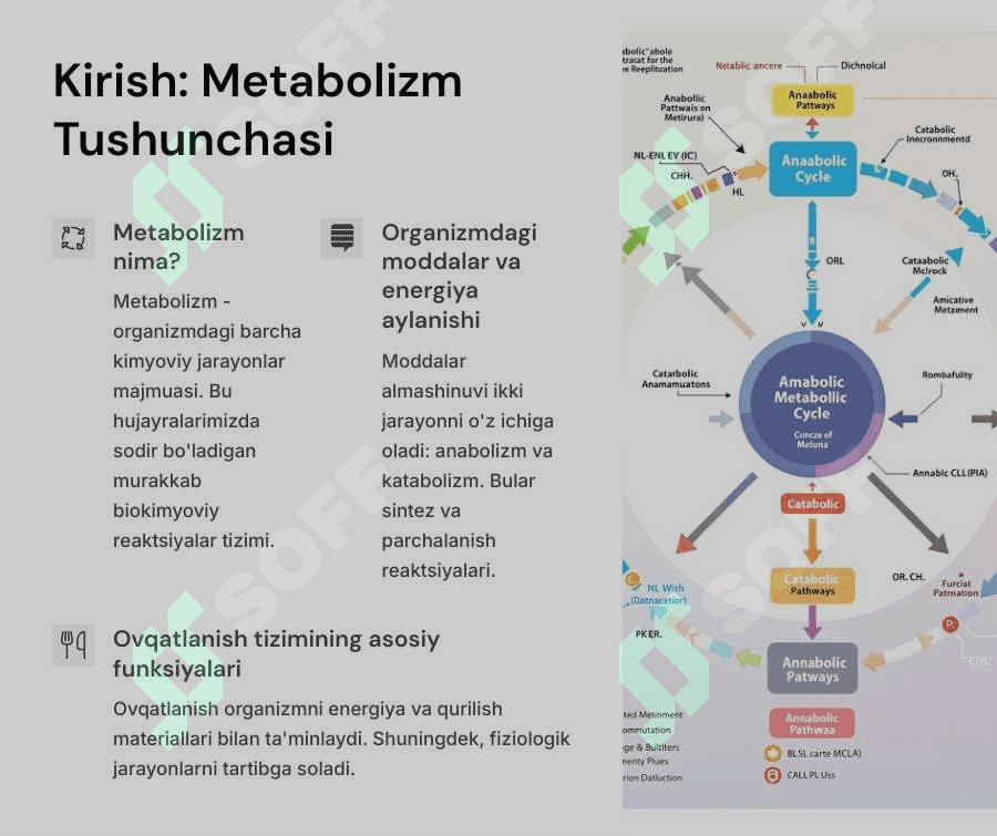Moddalar va energiya almashinuvini o`rganish. Ovqatlanishning fiziolgik asoslari. 2