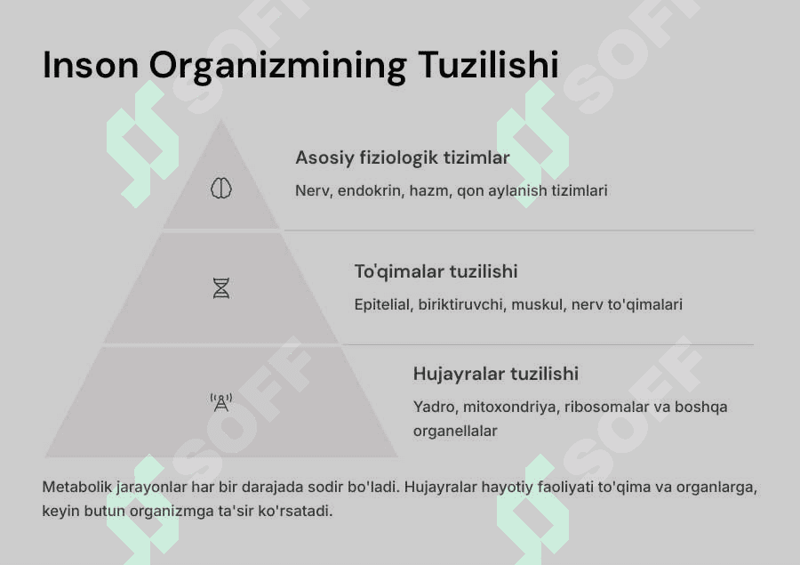 Moddalar va energiya almashinuvini o`rganish. Ovqatlanishning fiziolgik asoslari. 3