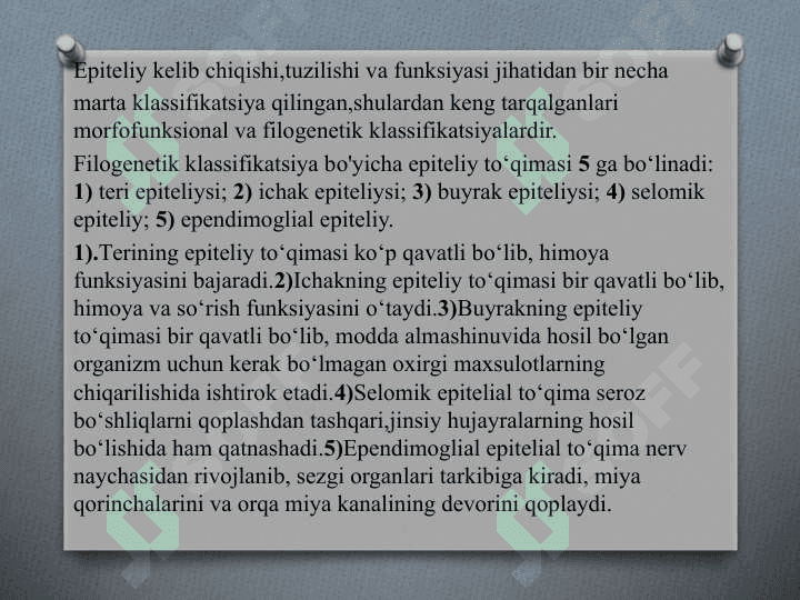 Epiteliy to‘qimalari-Bir qavatli epiteliy 8