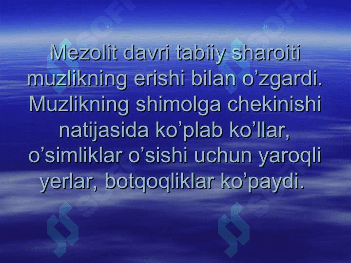 Mezolit 7