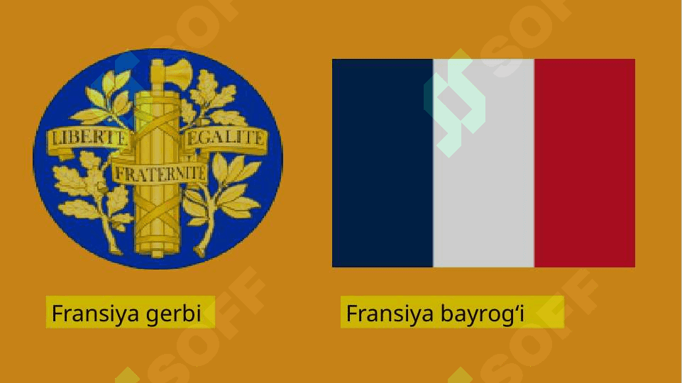 Fransuzlar- etnografik tavsifi 3