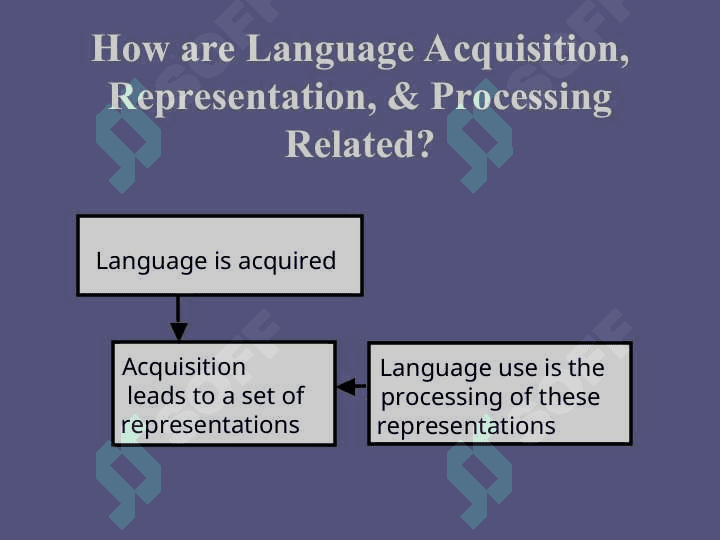 What is Language Acquisition 8