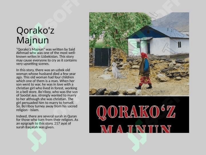 discribe  "Qorako'z Majnun" 3
