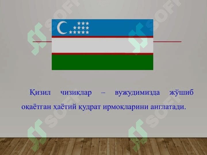 ЎЗБЕКИСТОН РЕСПУБЛИКАСИНИНГ ДАВЛАТ БАЙРОҒИ 6
