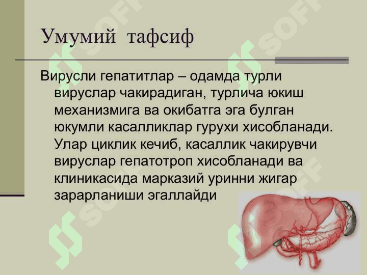 ВИРУСЛИ ГЕПАТИТЛАР 2