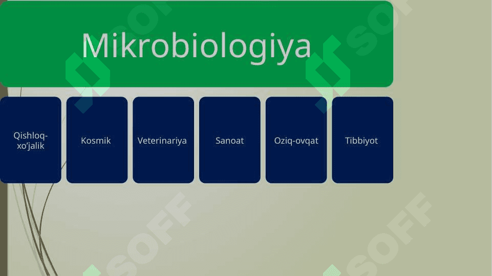 Mikrobiologiya,virusologiya,immunologiya fanining tarixi va unga xissa qo’shgan olimlar 4