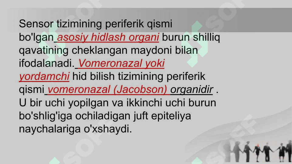 Hid bilish a’zosi 3