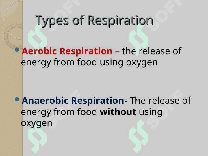 RESPIRATION 3