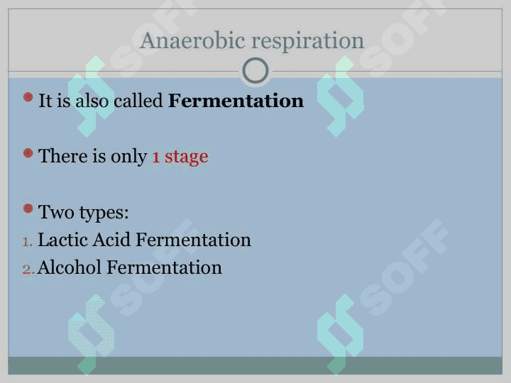 Respiration 4
