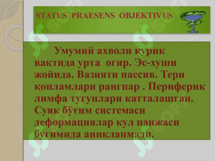 Тизимли кизил югурик 7