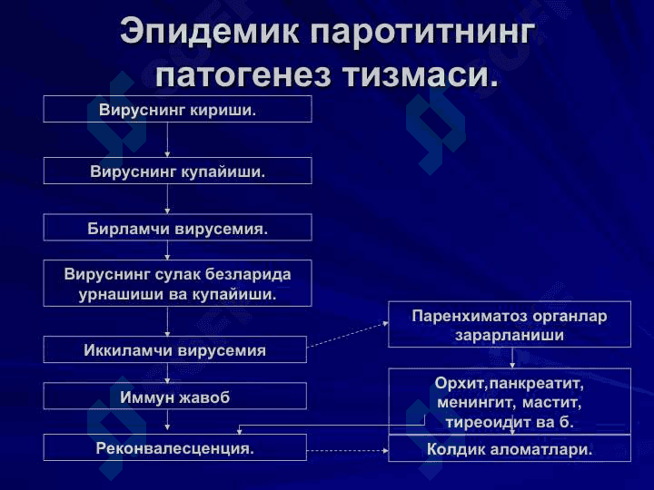 ЭПИДЕМИК ПАРОТИТ 7