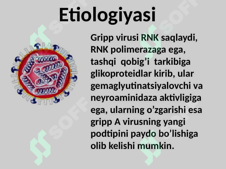 gripp. O’RVI 3
