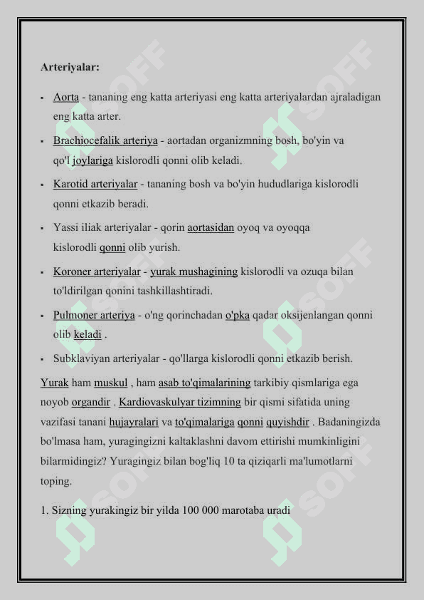 Yurak funksional anatomiyasi 4