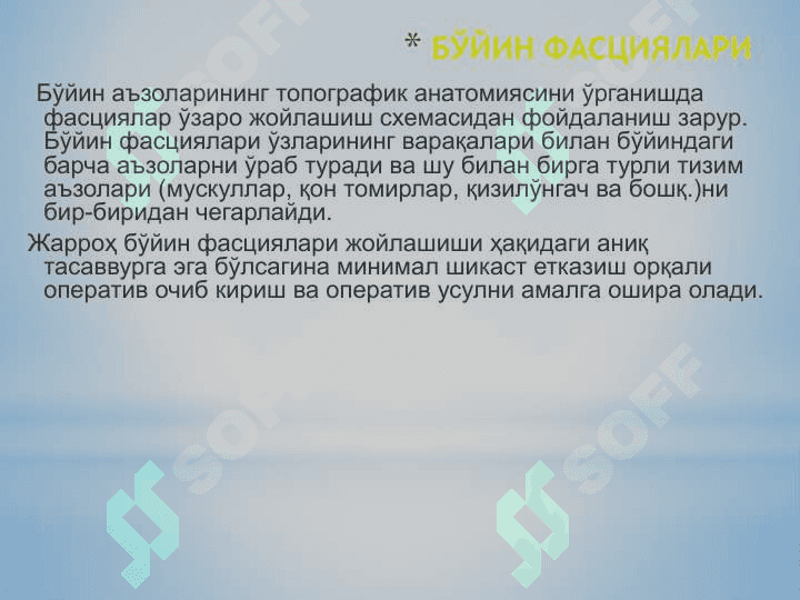 Бўйин соҳасининг клиник анатомияси ва топаграфия 7