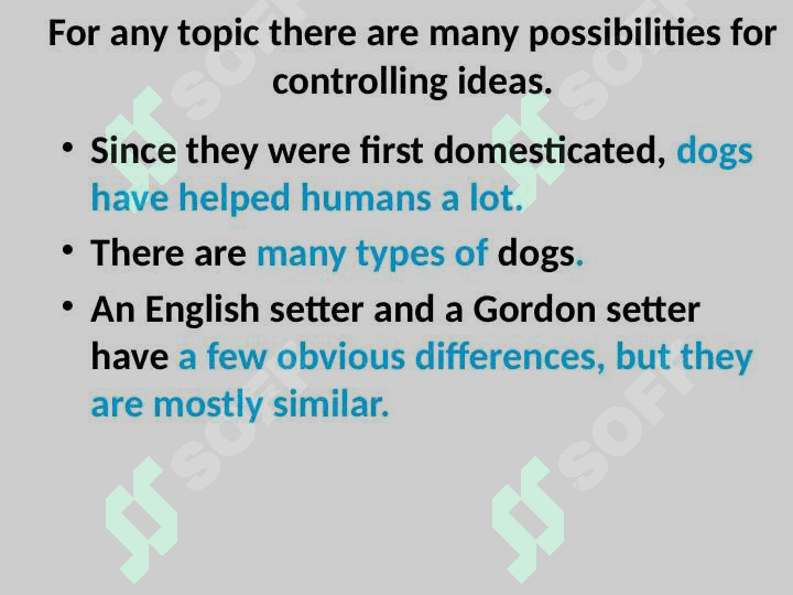 Thesis Statement 5