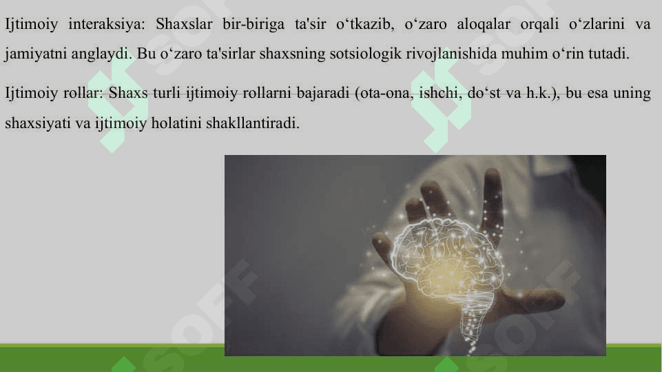 SOTSIOGENEZDA SHAXS 4